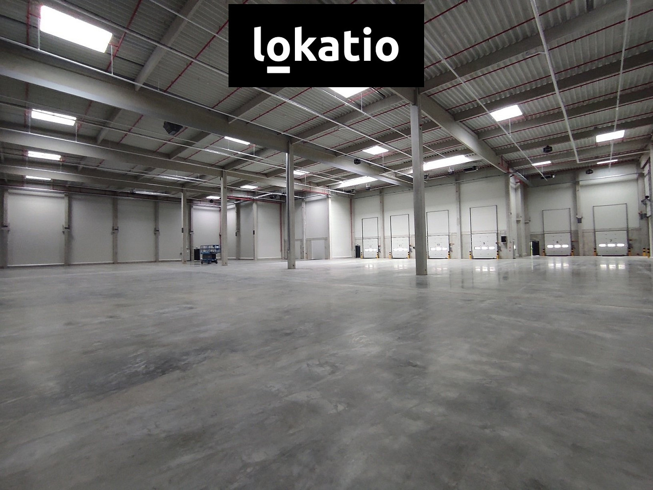Pronájem skladovacích prostor 3 858 m² — photo 5