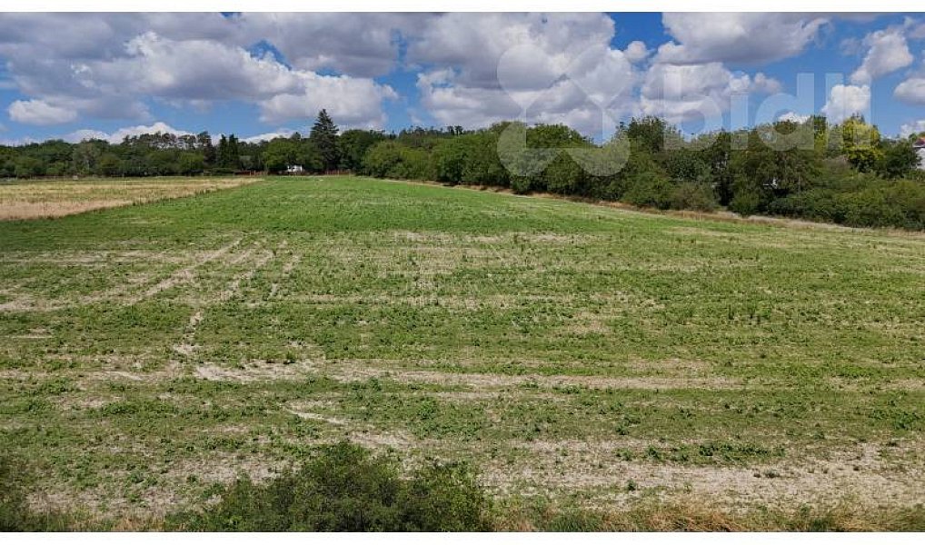 Prodej stavebního pozemku 4 773 m², Skorkov – náhled fotky 2
