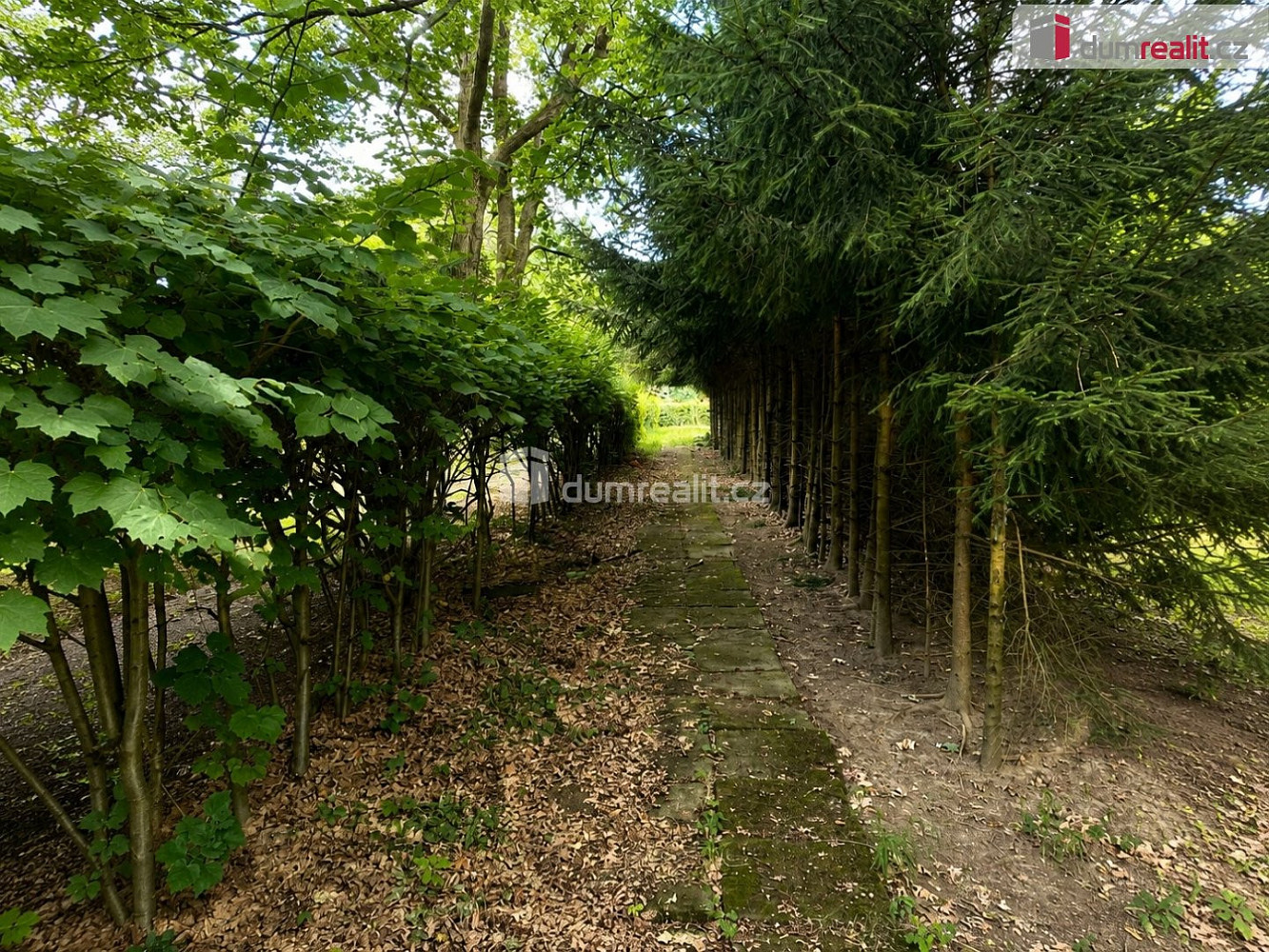 Prodej stavebního pozemku 363 m² — photo 3