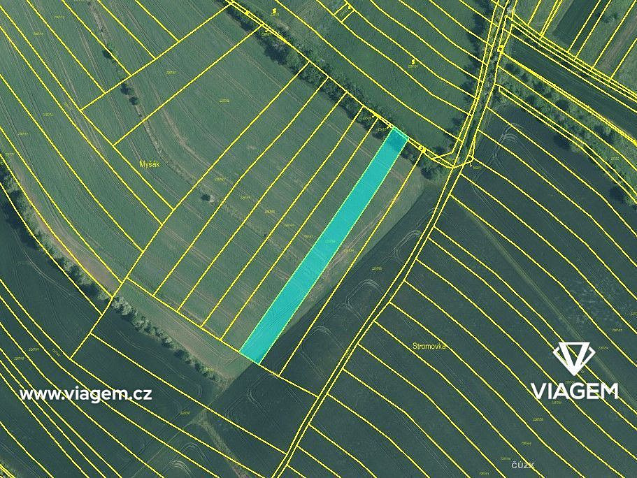 Prodej pole 990 m² – fotografie 3