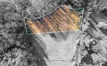 Prodej stavebního pozemku 4 332 m², Vlčtejn, okres Plzeň-Jih