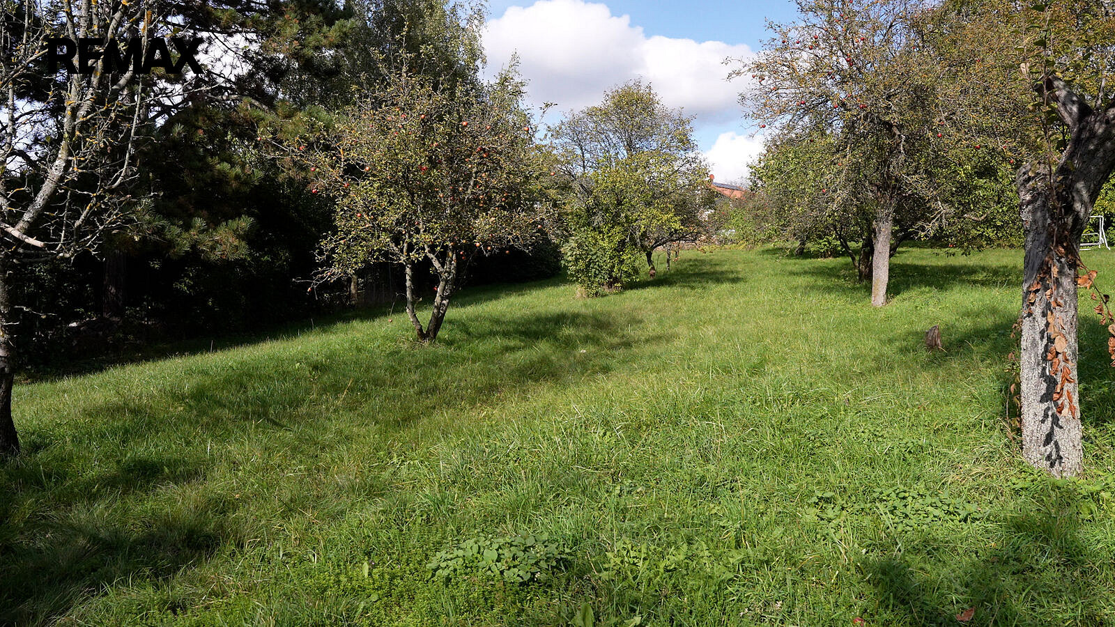 Prodej stavebního pozemku 2 359 m² – fotografie 5
