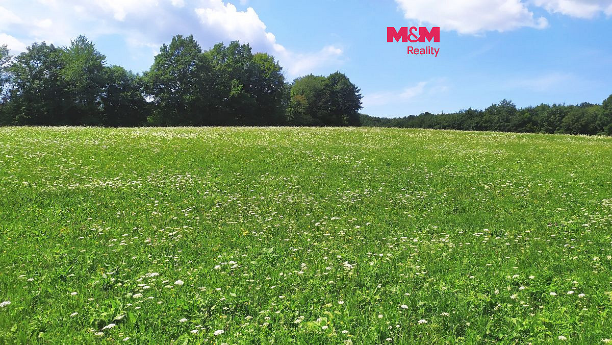 Prodej louky 4 766 m²