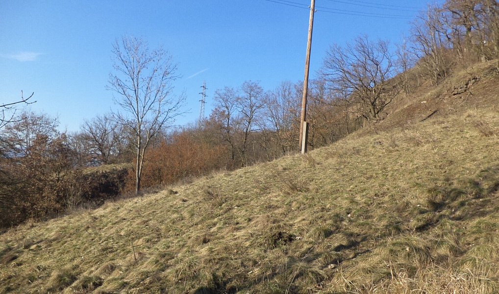 Prodej zahrady 1 700 m², Trmice – náhled fotky 4