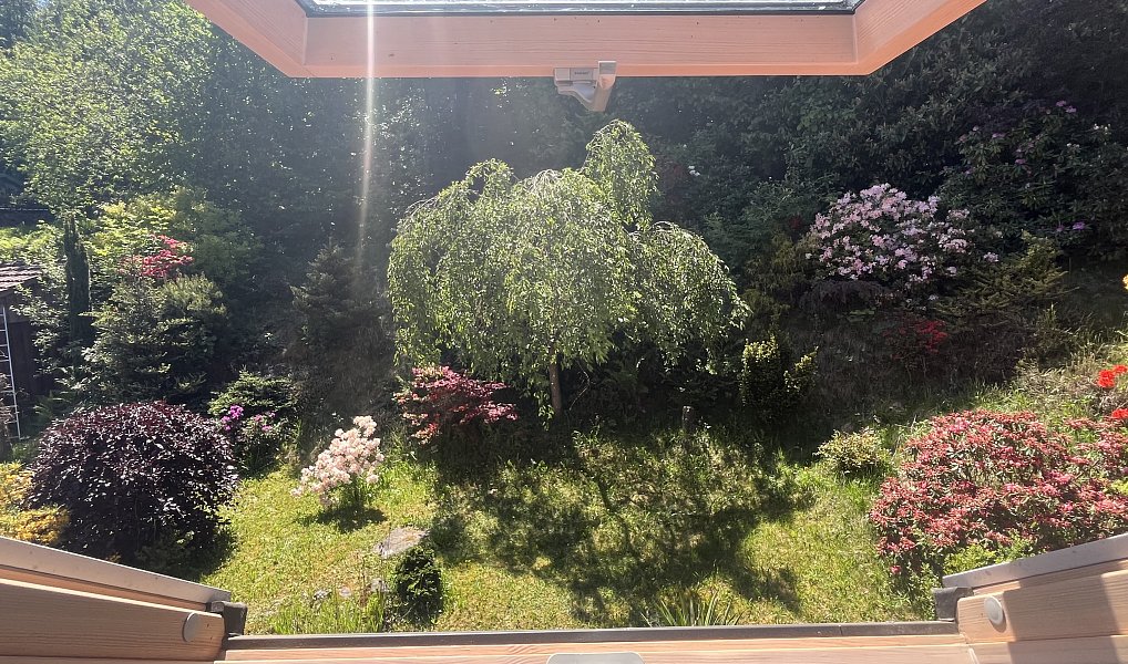 Prodej chalupy 200 m², Bousín – náhled fotky 29