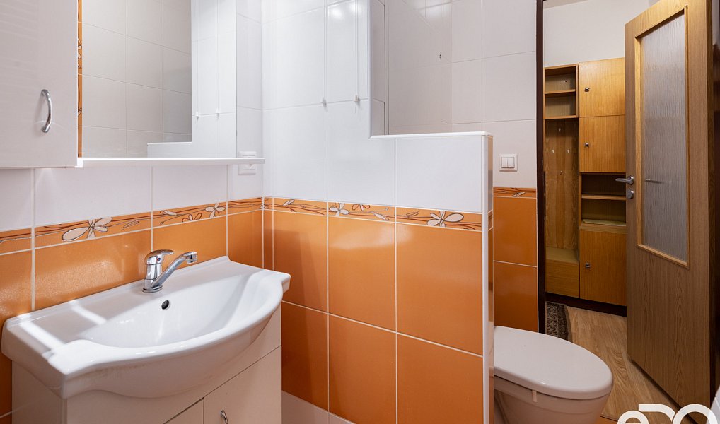 Prodej bytu 2+1 62 m², České Budějovice – náhled fotky 13