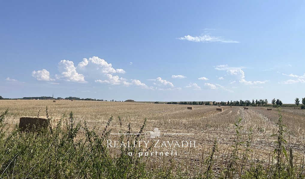 Prodej domu 80 m² s pozemkem 1 133 m², Dohalice – náhled fotky 19