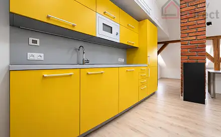 Pronájem bytu 1+kk 90 m², Havlíčkova, Mladá Boleslav - Mladá Boleslav II