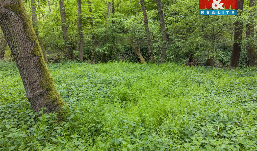 Prodej lesa 491 m², Červené Pečky – náhled fotky 8