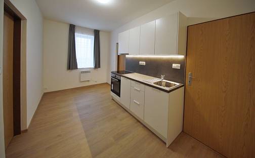 Pronájem bytu 2+1 36 m², Studentská, Karlovy Vary - Doubí