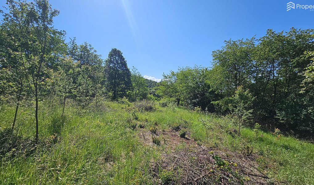 Prodej stavebního pozemku 1 845 m², Letovice – náhled fotky 2