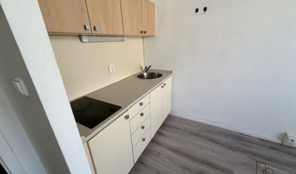Pronájem bytu 1+kk 17 m², Hodonín – náhled fotky 3