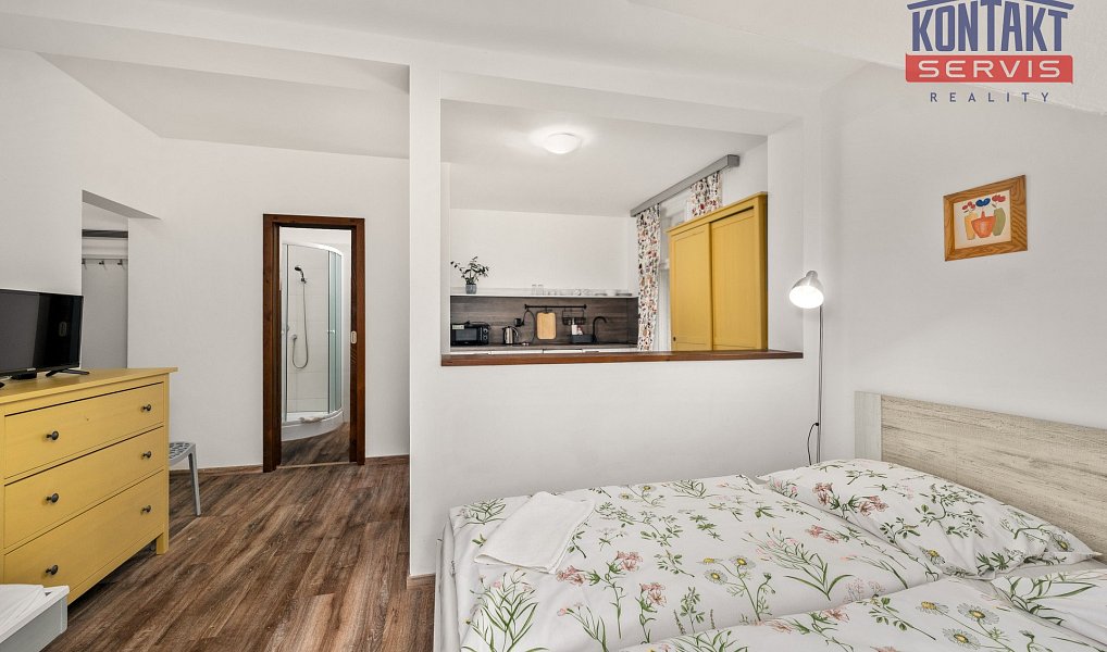 Prodej domu 660 m² s pozemkem 971 m², Stachy – náhled fotky 47