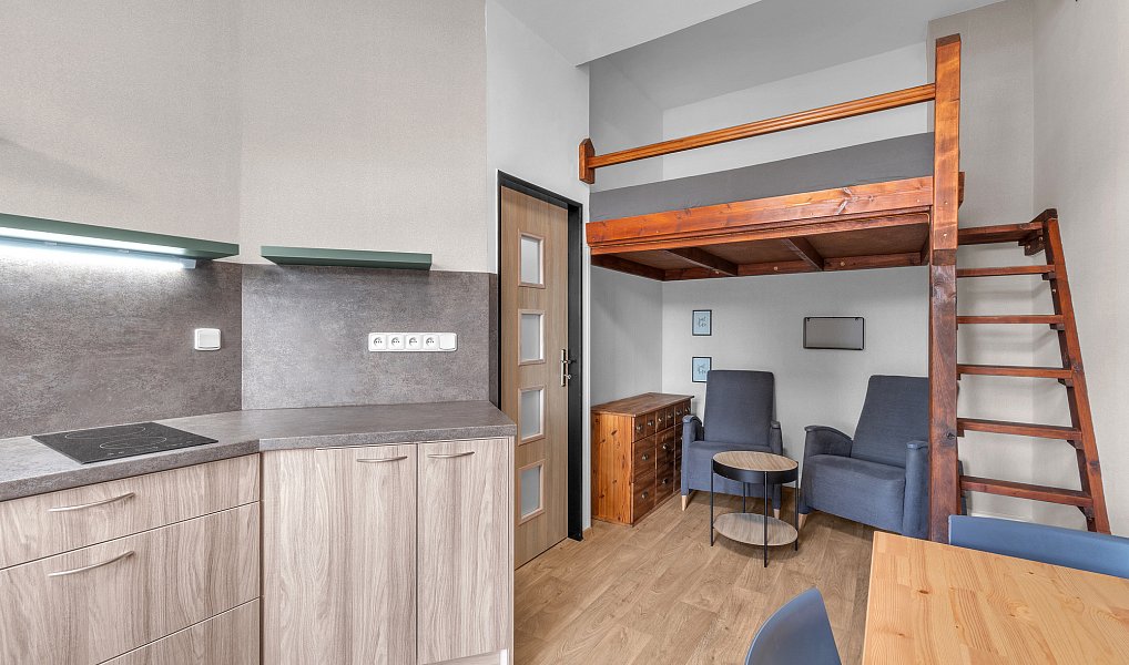 Pronájem bytu 1+kk 37 m², Trutnov – náhled fotky 4
