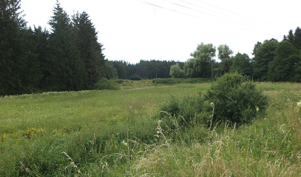 Prodej pole 13 137 m², Chodský Újezd – náhled fotky 3