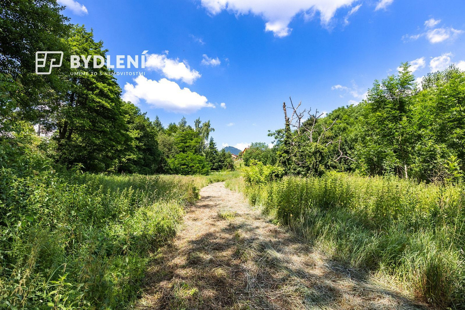 Prodej stavebního pozemku 5 381 m² – fotografie 4