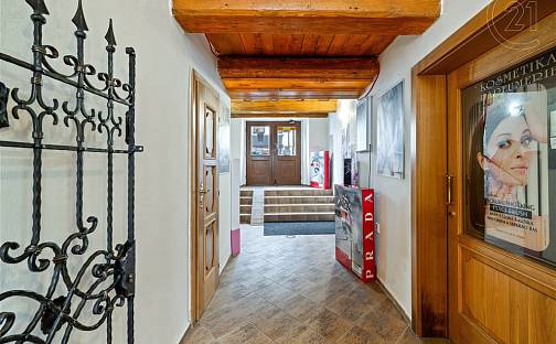 Prodej obchodních prostor 330 m², Znojmo