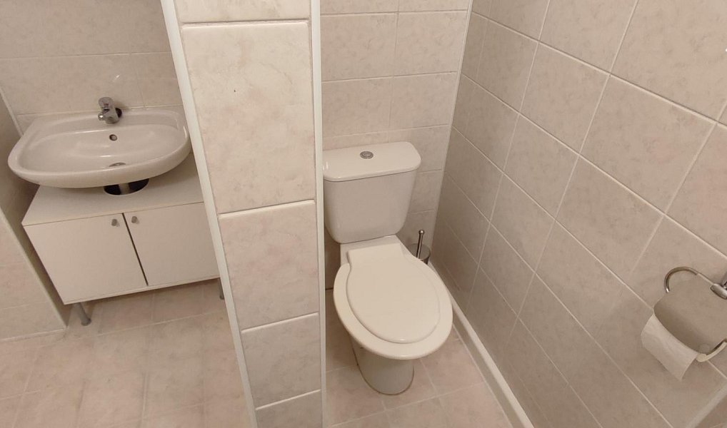 Pronájem bytu 2+1 60 m², Vratimov – náhled fotky 2