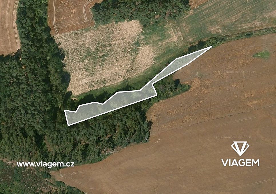 Prodej lesa 2 437 m²