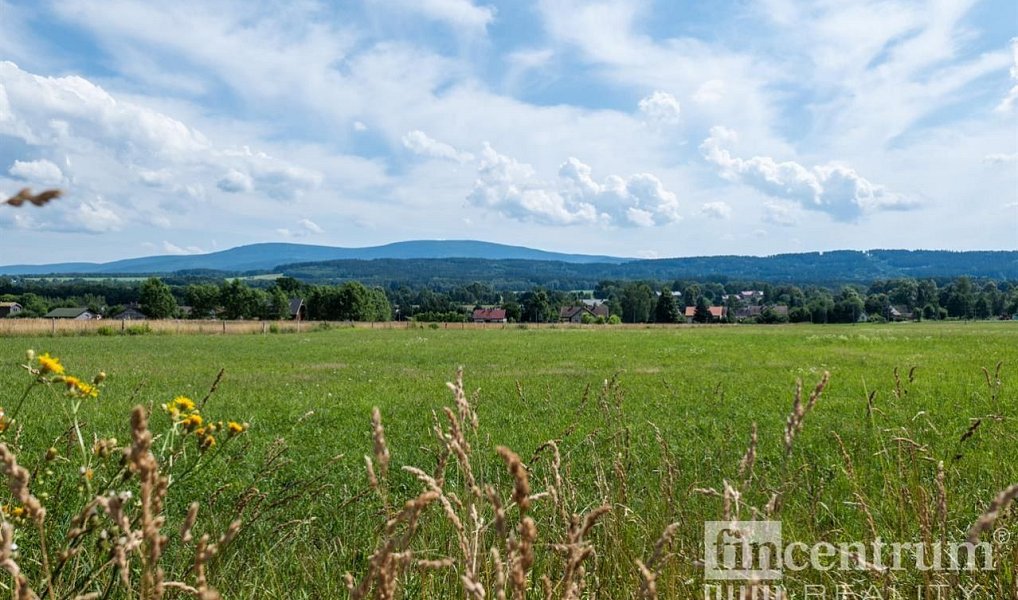 Prodej louky 53 774 m², Jindřichovice pod Smrkem – náhled fotky 7