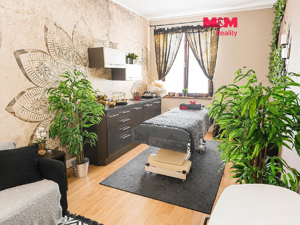 Pronájem bytu 2+kk 55 m²