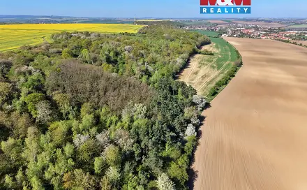 Prodej lesa 5 857 m², Kounice, okres Nymburk