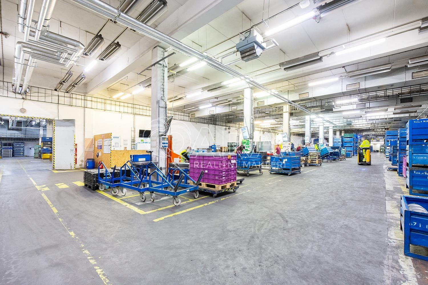 Pronájem výrobních prostor 3 025 m² – fotografie 4