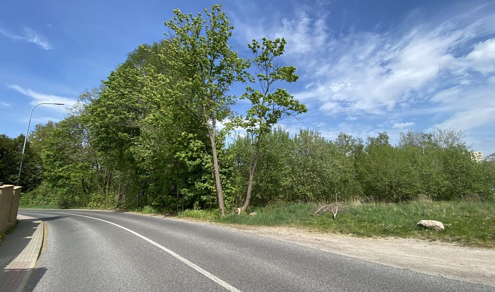 Prodej komerčního pozemku 2 866 m², Liberec – náhled fotky 4