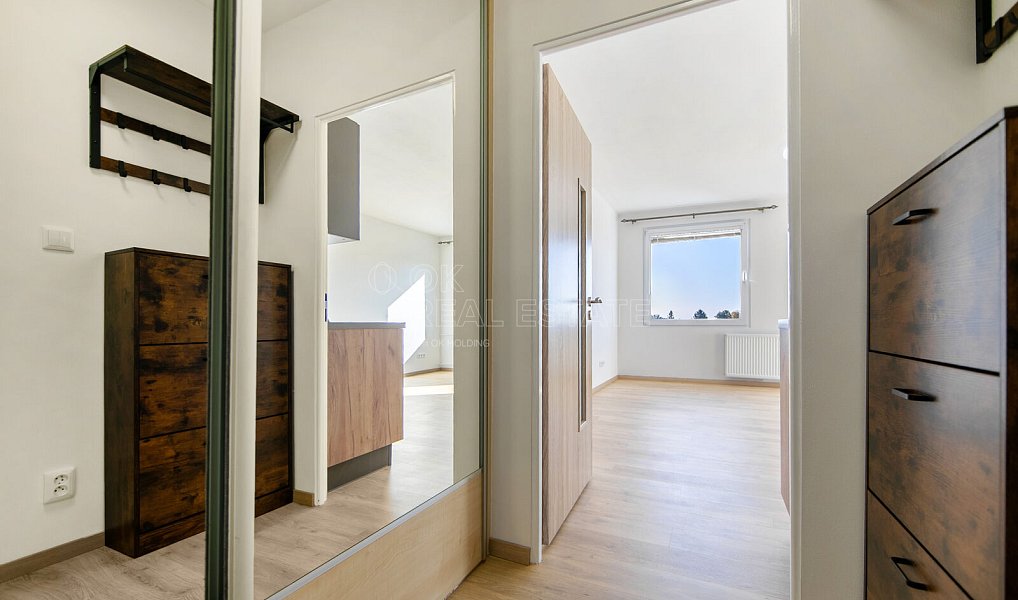 Pronájem bytu 1+kk 31 m², Planá – náhled fotky 5