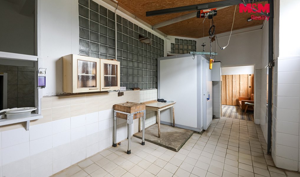 Prodej obchodních prostor 1 100 m², Černošín – náhled fotky 9
