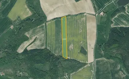 Prodej pole 14 498 m², Tymákov, okres Plzeň-město