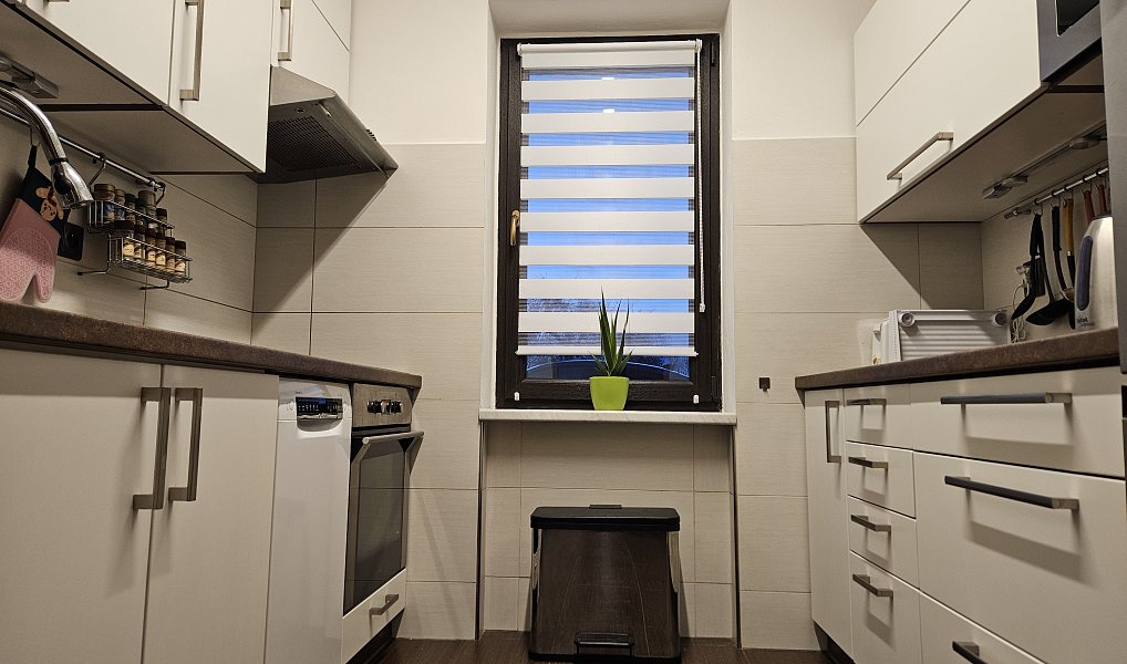 Prodej domu 149 m² s pozemkem 1 110 m², Podlešín – náhled fotky 32