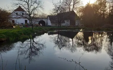 Dražba domu 120 m² s pozemkem 4 549 m², Dolní Hrachovice - Mostek, okres Tábor