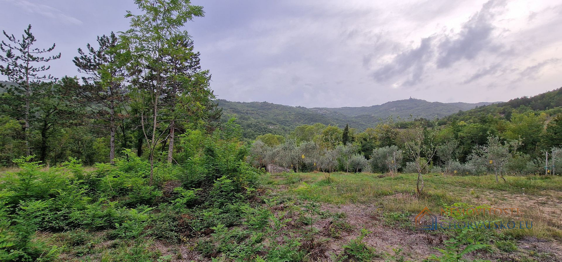Prodej stavebního pozemku 9 054 m² - Więcej