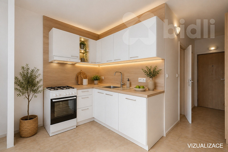 Prodej bytu 1+1 42 m²
