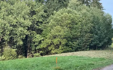 Prodej pozemku 1 194 m², Hutisko-Solanec, okres Vsetín
