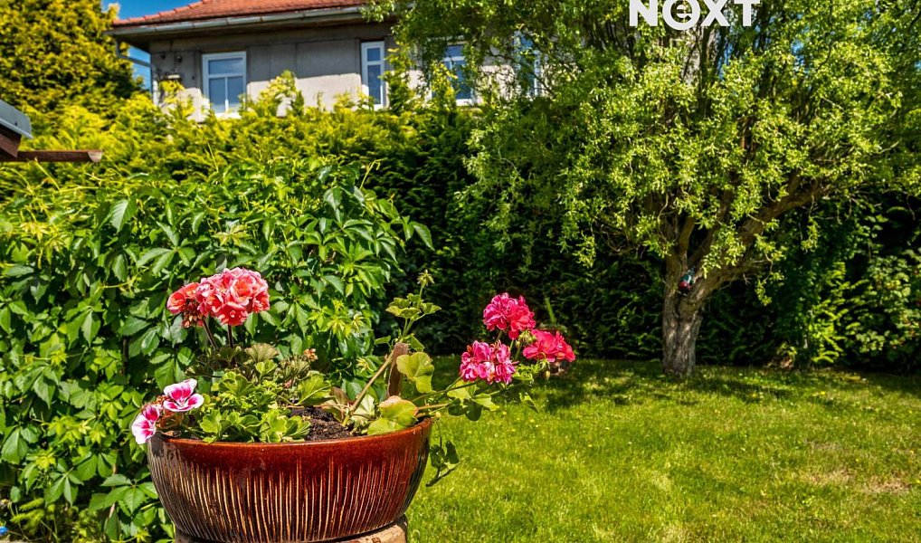 Prodej domu 169 m² s pozemkem 1 700 m², Cvikov – náhled fotky 40