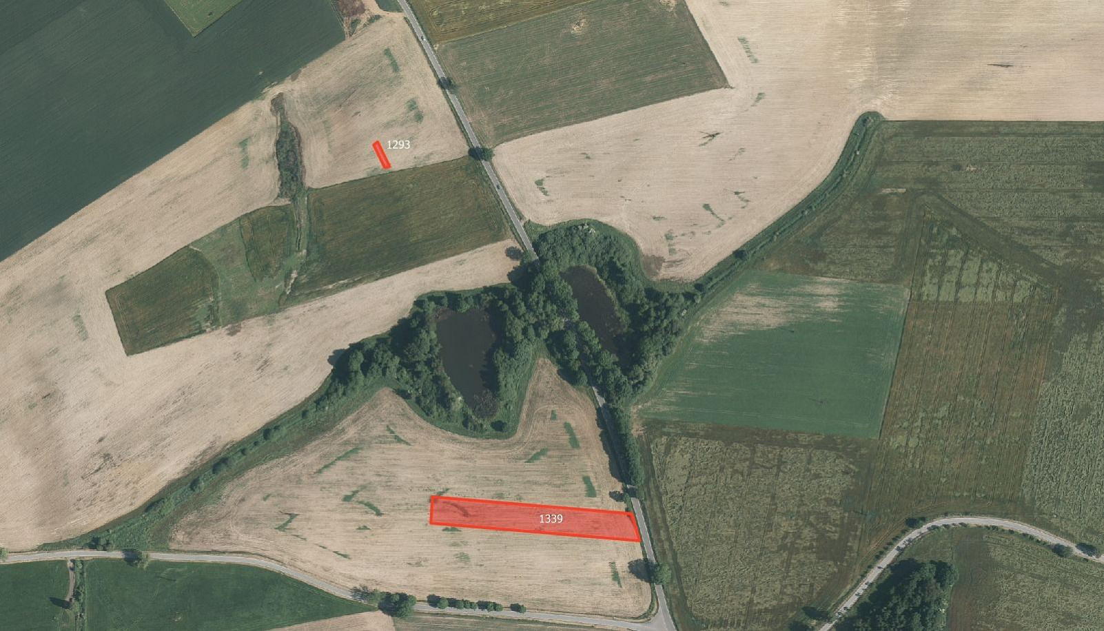Prodej pole 14 942 m² — photo 3