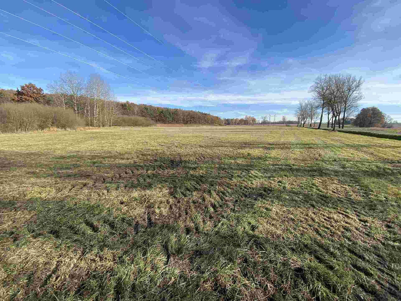 Prodej pole 8 684 m² – pohled 6