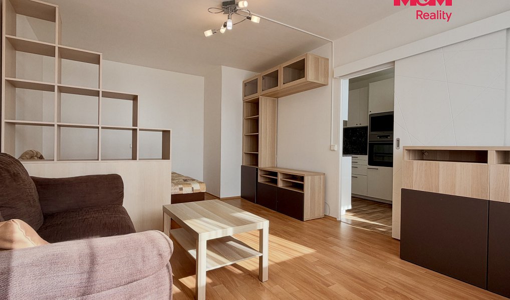Pronájem bytu 1+1 53 m², Praha – náhled fotky 2
