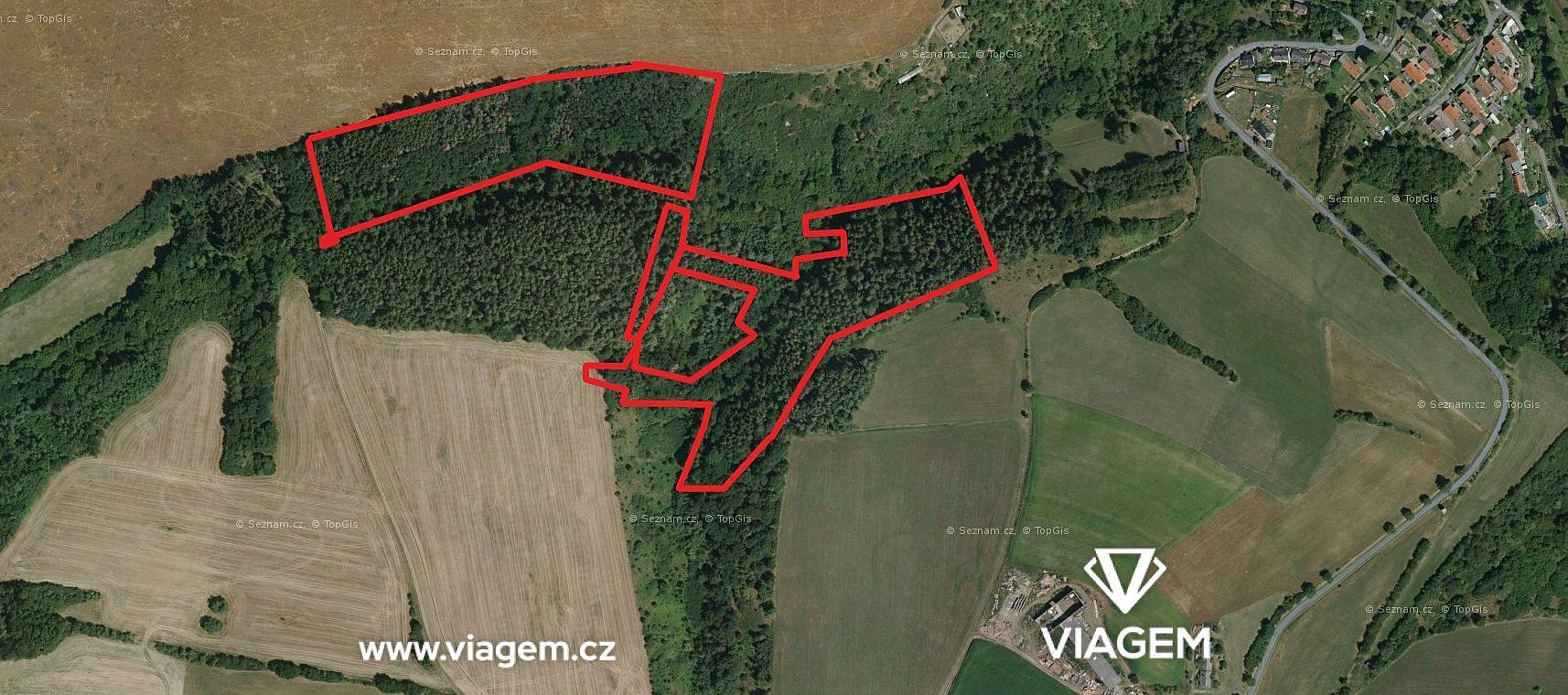 Prodej lesa 8 736 m²