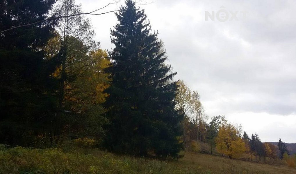 Prodej pozemku 625 m², Líšný – náhled fotky 7