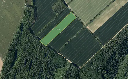 Prodej pole 29 548 m², Věžky, okres Kroměříž