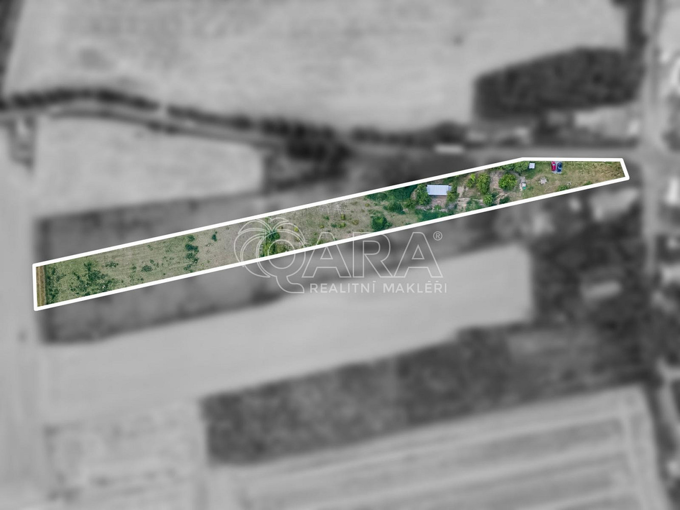 Fotka 14 z 14