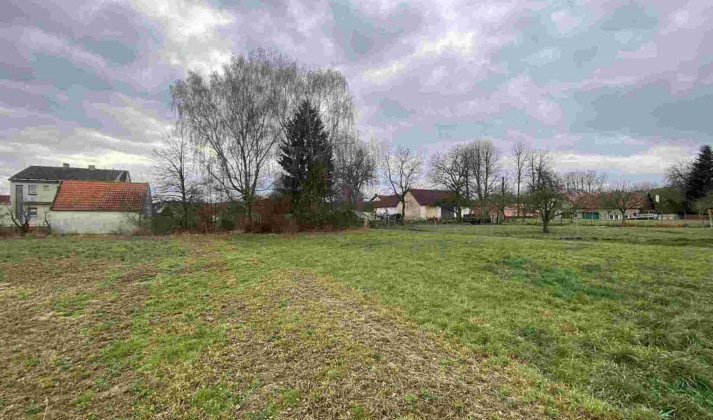 Prodej pozemku 1 427 m², Dolní Bukovsko – náhled fotky 2