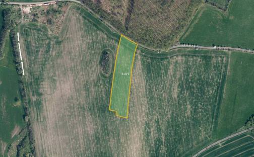 Prodej pole 16 758 m², Třebušín, okres Litoměřice