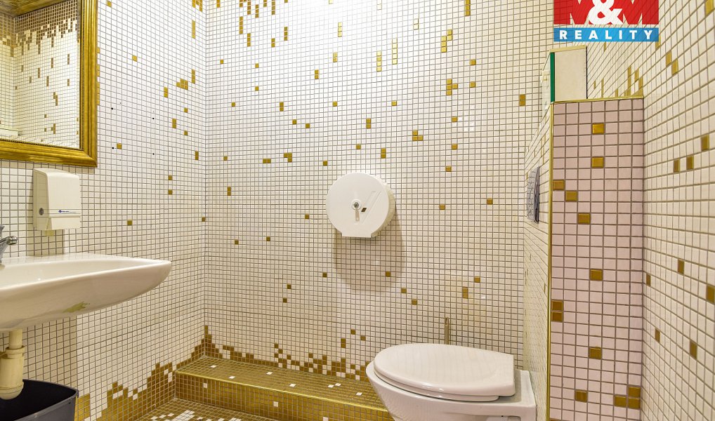 Pronájem obchodních prostor 250 m², Ostrava – náhled fotky 17