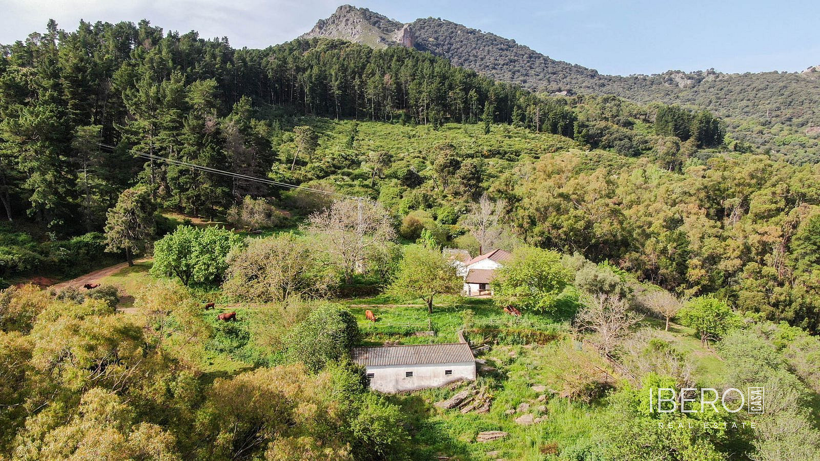 Casa 4+kk – Gaucín, Gaucín Pueblo, Serranía de Ronda - Vista 2
