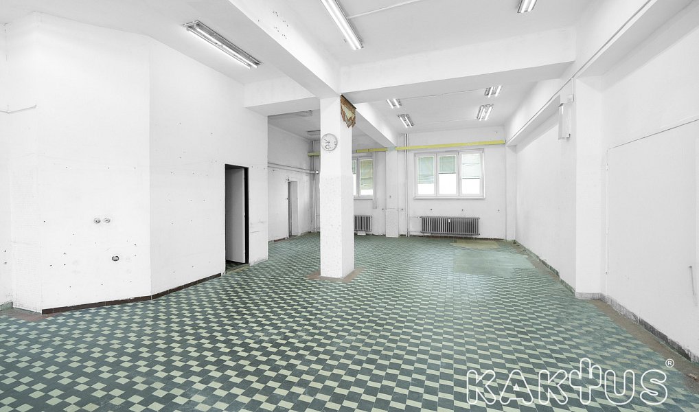 Pronájem obchodních prostor 80 m², Ostrava – náhled fotky 4