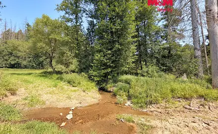 Prodej vodní plochy 8 552 m², Dolní Hořice - Pořín, okres Tábor